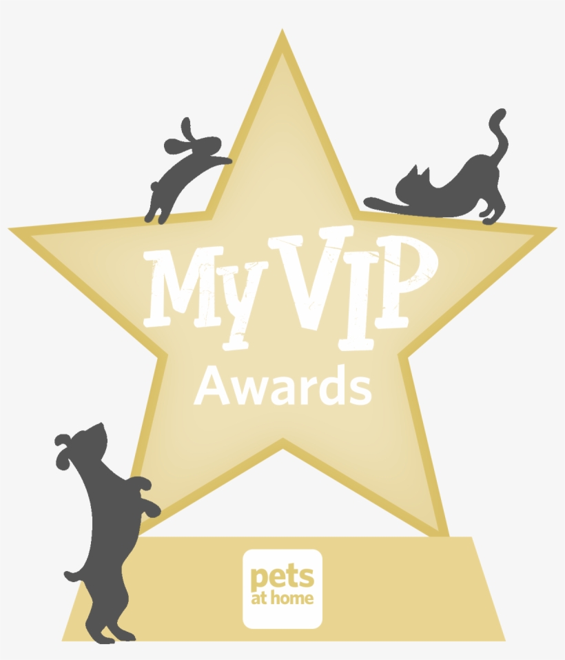 Welcome To The My Vip Reader Awards 2018 Shortlist - Award, transparent png download
