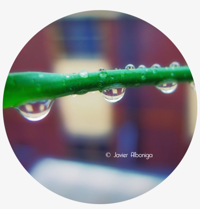 Gotas De Lluvia - Drop, transparent png download