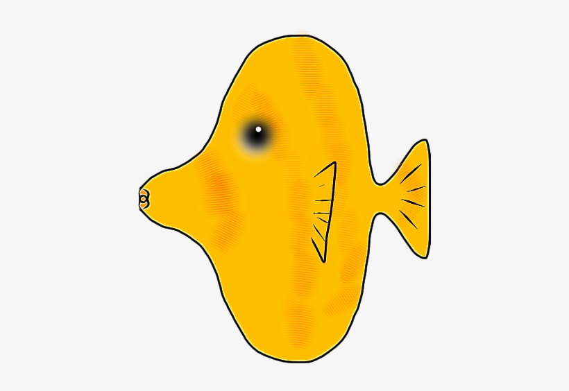 Free Fish With Bubbles, Download Free Clip Art, Free - Coral Reef Fish, transparent png download