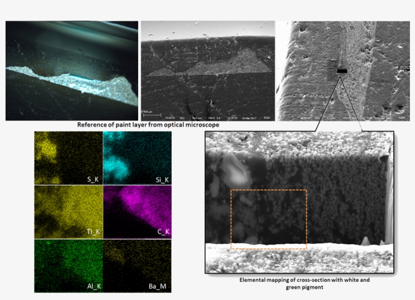 Characterization Of Orange Cross-section Using Edax - Graphic Design, transparent png download