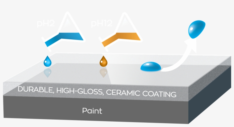 Its Highly Dense Layer Is Resistant To Chemicals From - Diagram, transparent png download