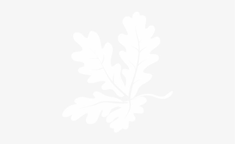 Mission - Wisconsin, transparent png download