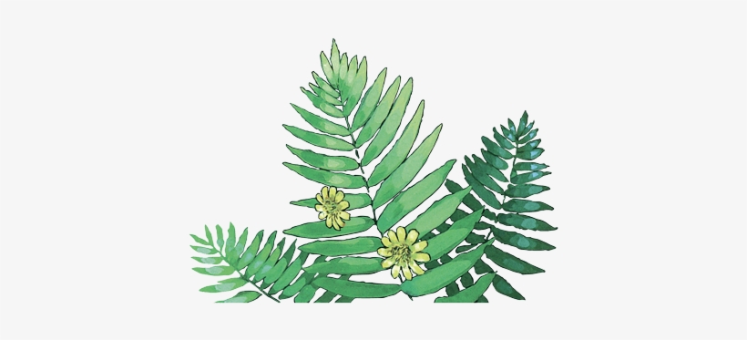 Join Satsuki And Mei On Their Amazing Adventures In - Illustration, transparent png download