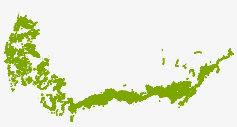 Fire Chief Arborvitae Grows Well In Zone 6b - Shasta Daisy, transparent png download