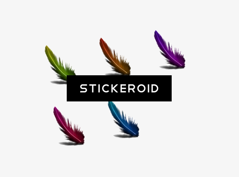 Feather - Graphic Design, transparent png download
