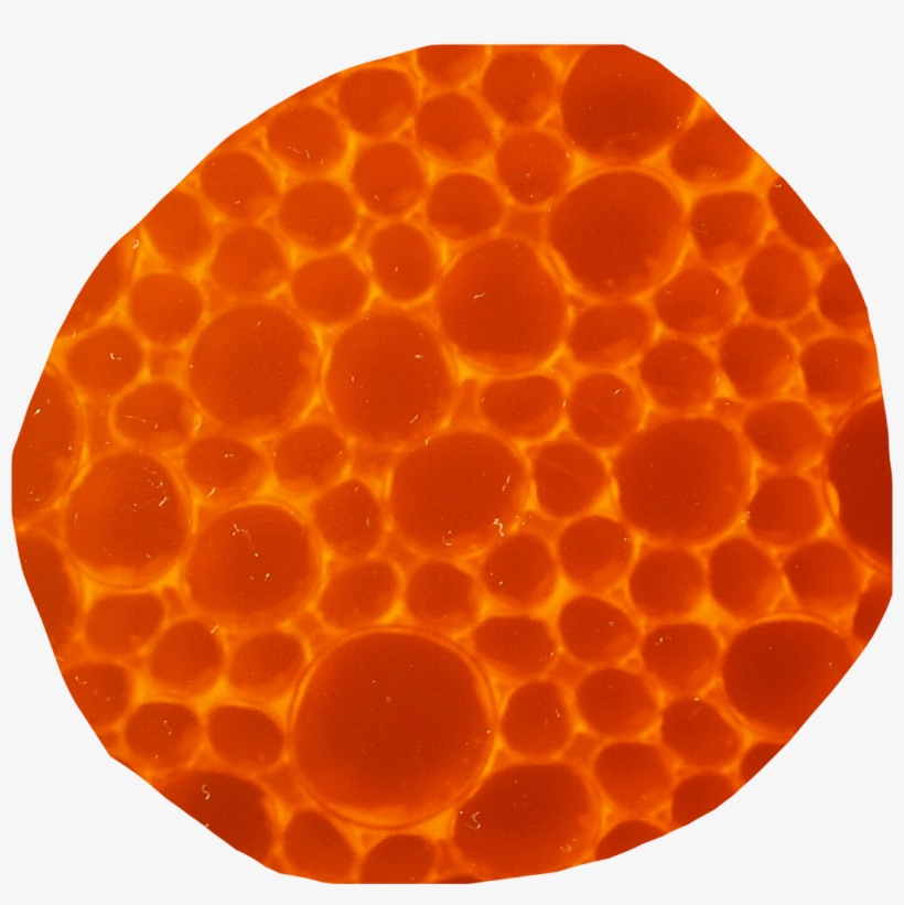 Honey Comb Honeycomb Bee Bees Honeybee Honeybees Storag - Honeycomb, transparent png download