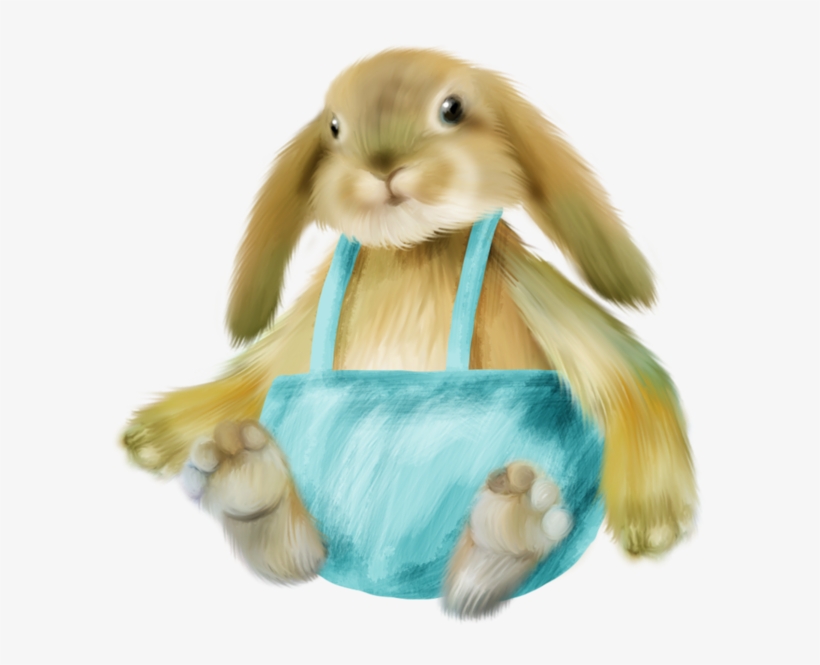 Rabbit, transparent png download