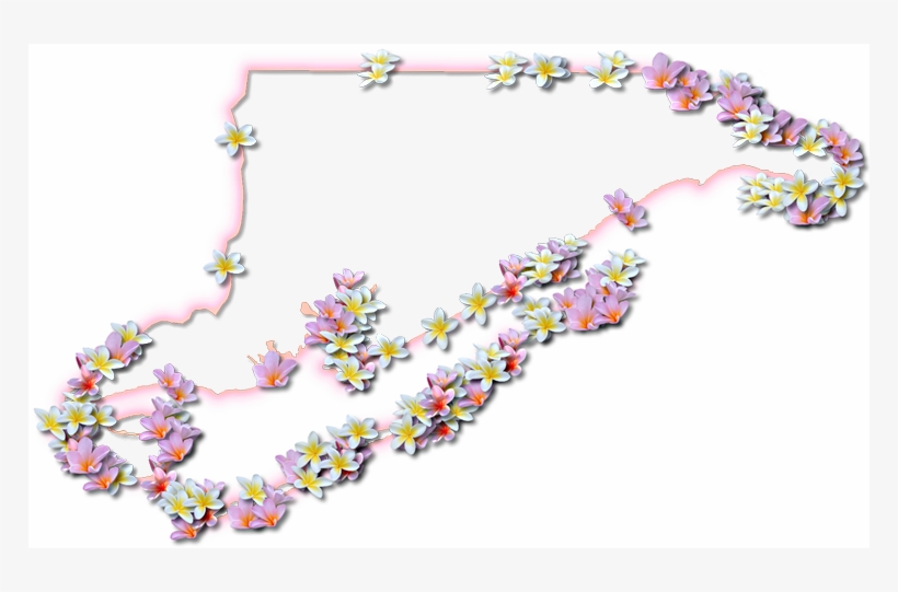 A Map Of Franklin With A Coral Color Glow Border And - Map, transparent png download