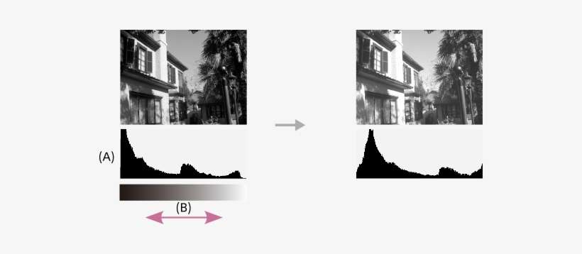 De Destello Y Oscuros, Respectivamente - House, transparent png download