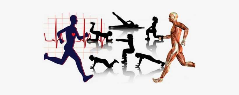 Benefits Of Aerobic Exercise Png, transparent png download