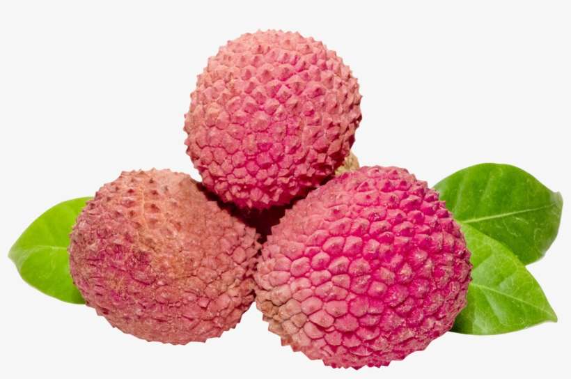1475 X 943 - Lychee Png, transparent png download