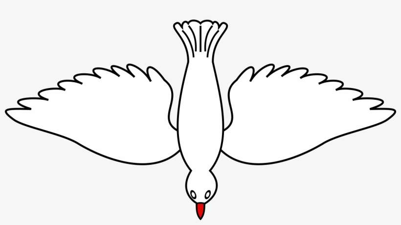 Open - Dove Bird Flying Down, transparent png download