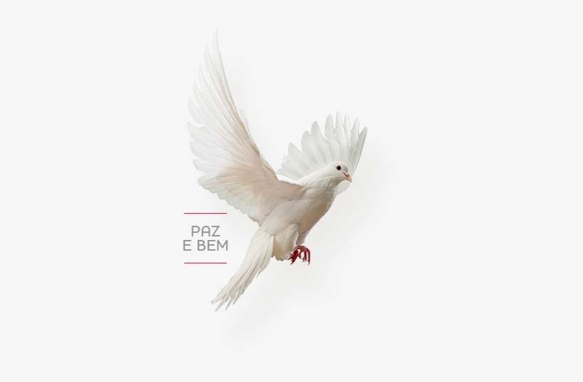 14 De Outubro De - Eid Cb Background Hd, transparent png download