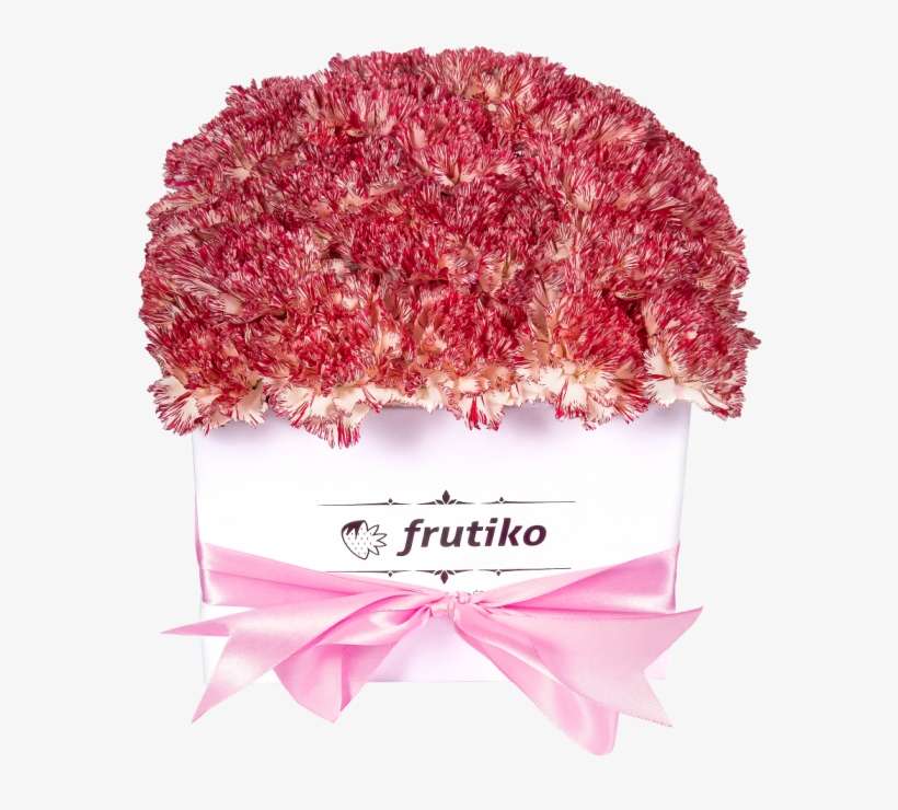 White Box Of Pink Carnations - Carnation, transparent png download