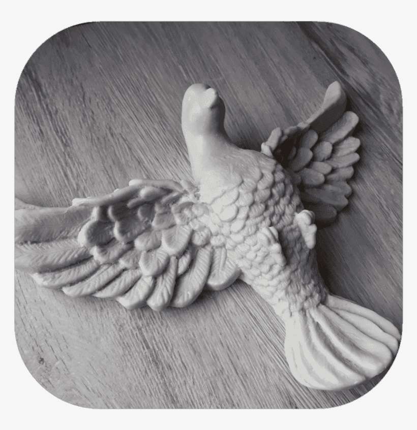 Pomba Divino Espírito Santo Em Resina 24cm - Divinity, transparent png download