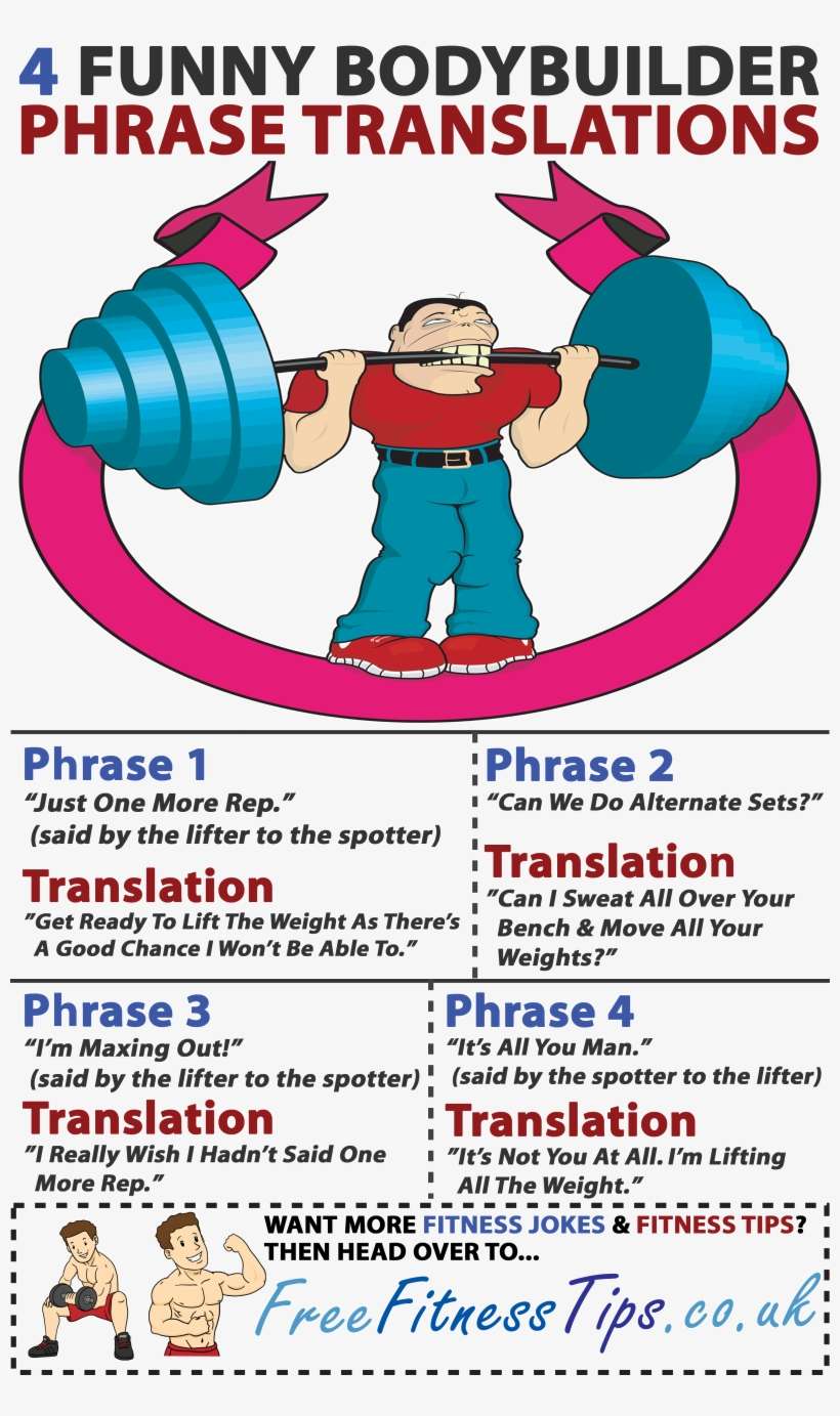 800 X 1303 800×1,303 Pixels - Bodybuilding, transparent png download