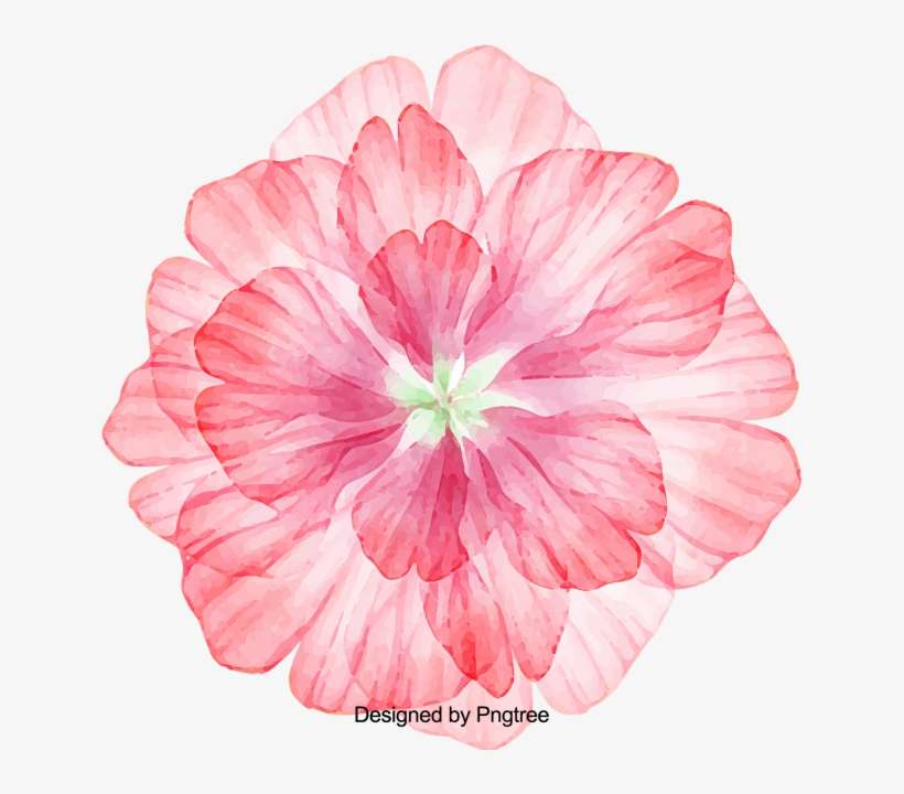 Cartoon Beautiful Hand Painted Water Color Flowers, - Lovelava 'vectorized Watercolor Ii' Canvas Gallery, transparent png download