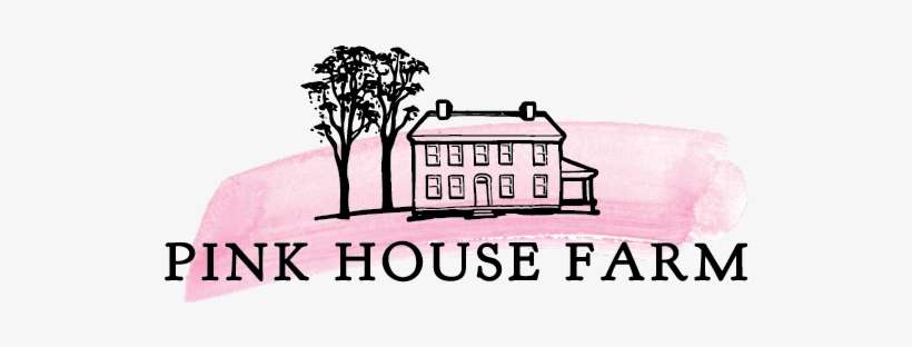 Palm Tree, transparent png download