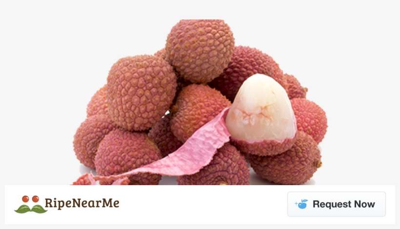 Lychee, transparent png download