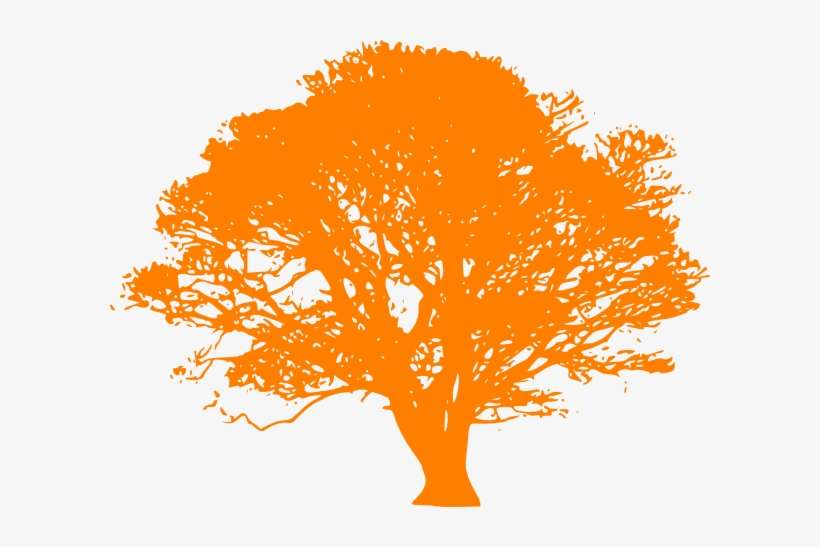 Citrus Orange Tree Clip Art - Tree Clipart Orange, transparent png download