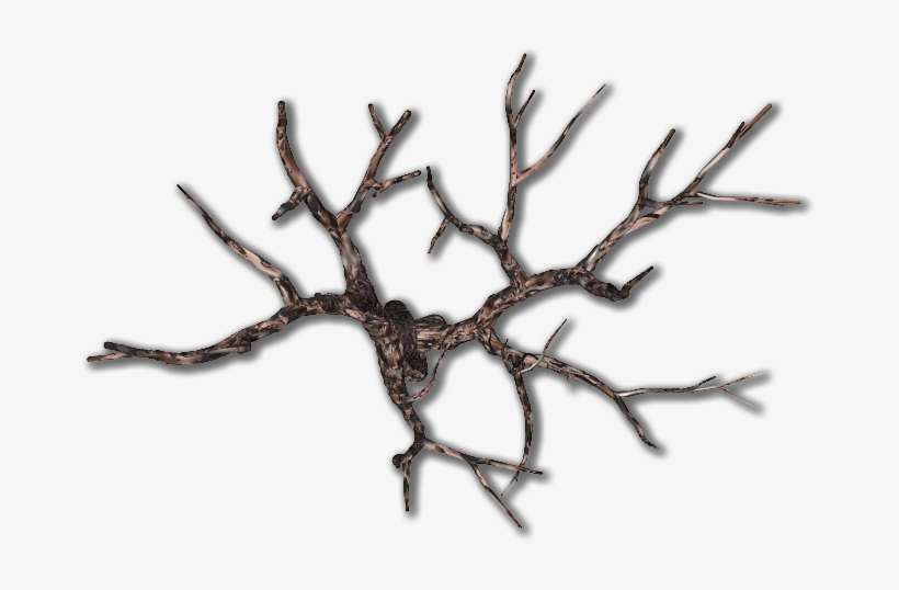 Deadtree01 Kpl - Dundjinni Dead Tree, transparent png download