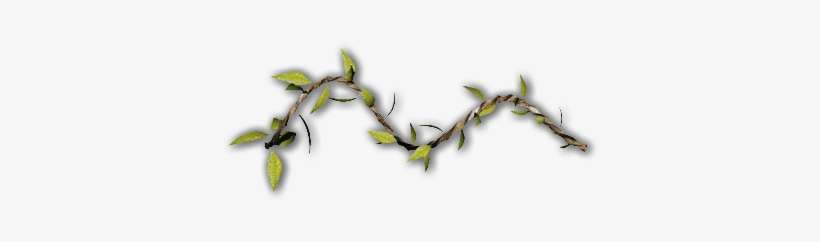Png 06 Feb 2009 - Twig, transparent png download