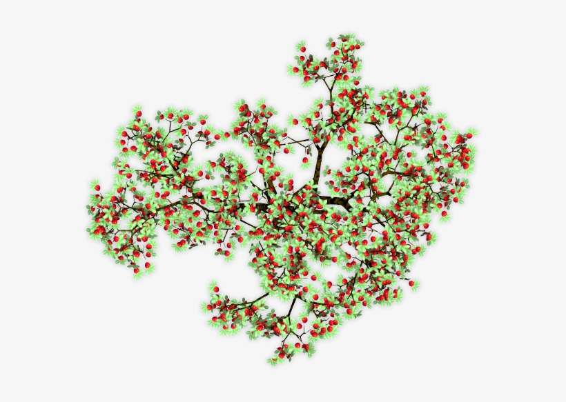 You Can Never Have Enough Vines - Flower, transparent png download