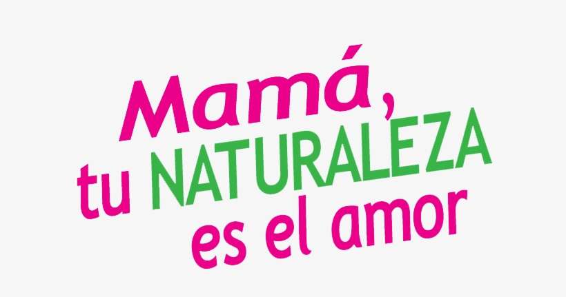 Es El Momento De Comprar El Regalo Para Mamá, Hazla - Flower, transparent png download