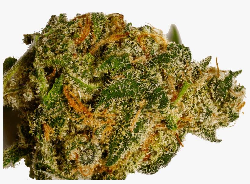 Afghan Kush - Moss, transparent png download