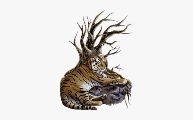 Tigres Gifs Imagenes - Tigre Gif Png Animado, transparent png download