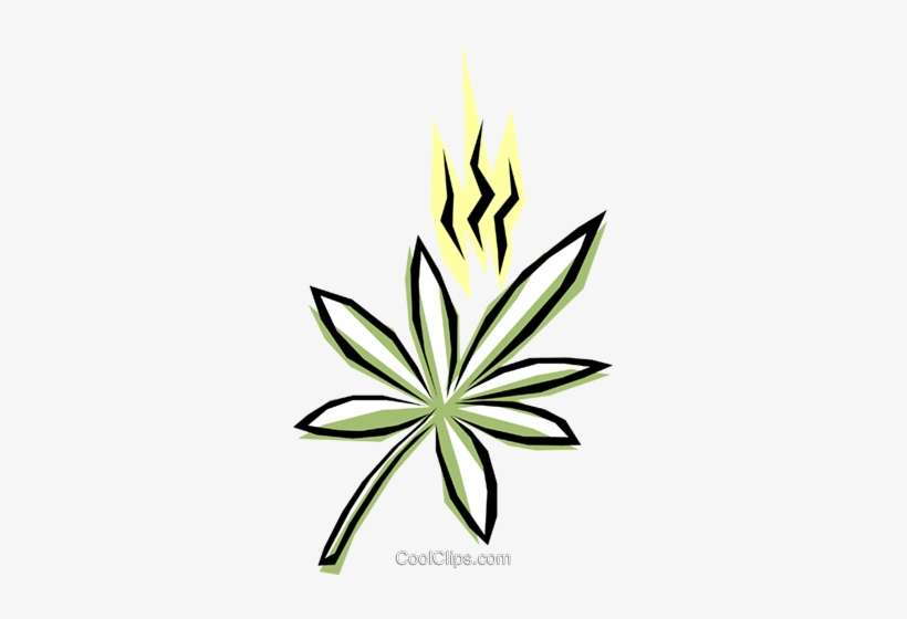 Maconha Livre De Direitos Vetores Clip Art Ilustração, transparent png download