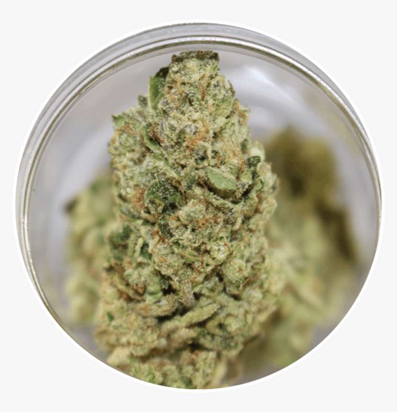 Citrus Kush - Kush, transparent png download