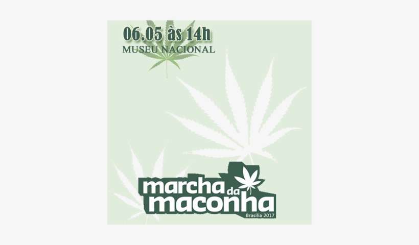 Movimento Pela Legalização Da Maconha - Global Marijuana March, transparent png download