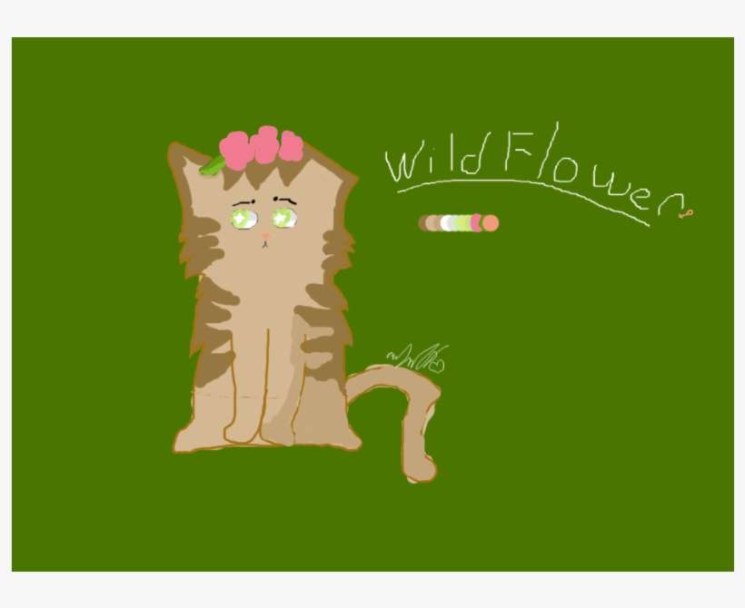 Drawing Wildflower - Squitten, transparent png download