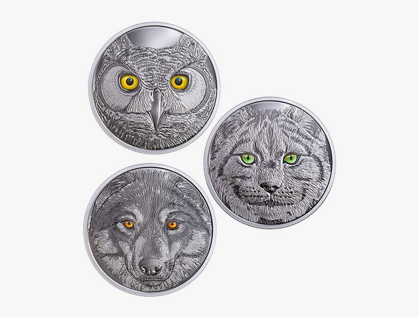 Pure Silver Glow In The Dark 3 Coin Subscription - Diagnostic De La Fonction Comptable Et Financière, transparent png download