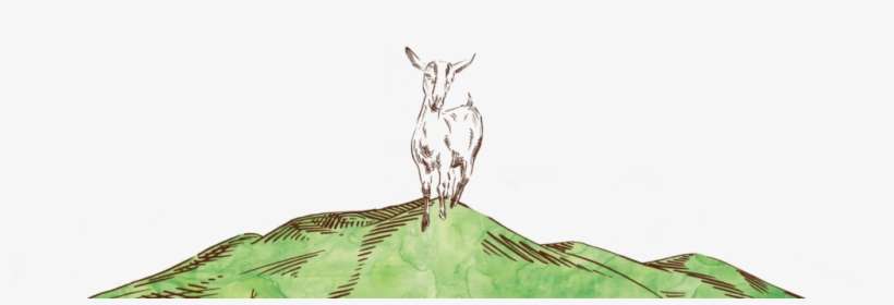 Certified Grass-fed Goat Milk Yogurt - Goat, transparent png download