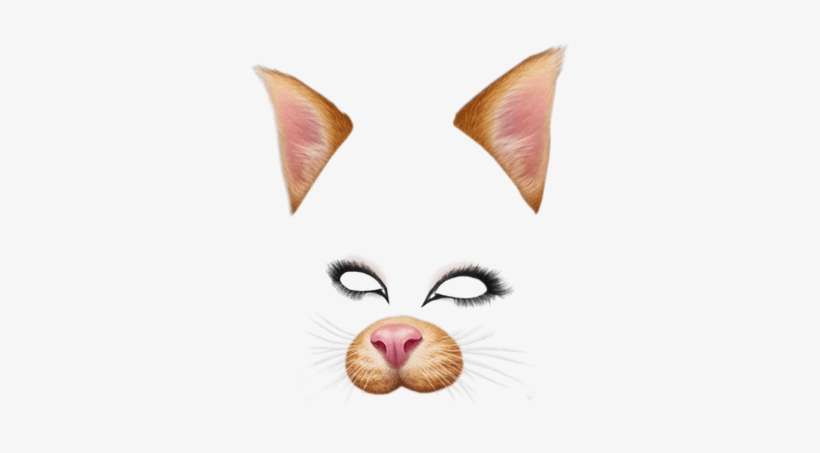 Filtro De Snapchat Perro Marrón - Snapchat Cat Filter Png, transparent png download