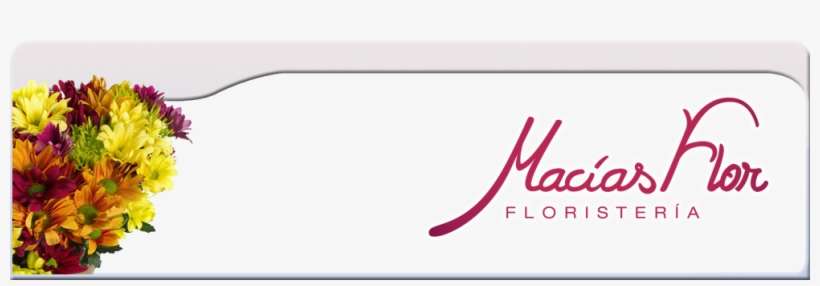 Floristería Macias Flor - Graphics, transparent png download