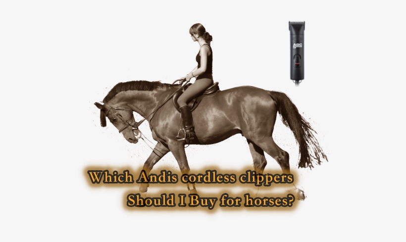 andis cordless horse clippers