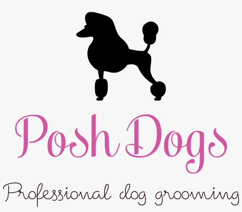 Posh Dogs Is Situated In Sileby, Leicestershire - Posh Dogs, transparent png download