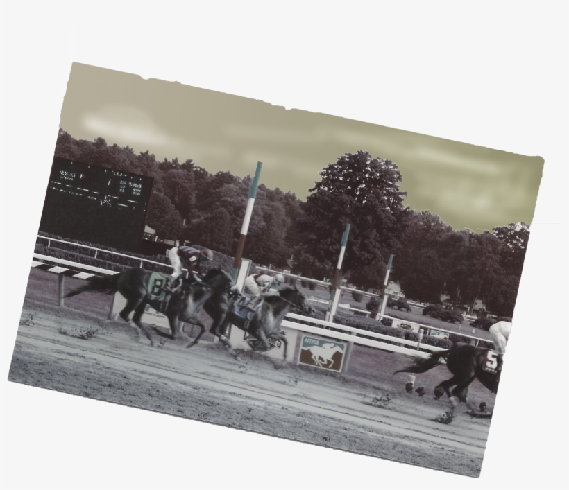 Race-horses - Jockey, transparent png download