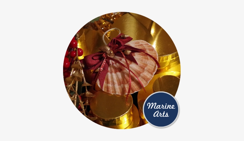 Festive - Seashell, transparent png download