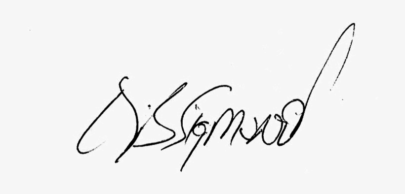 Eileen Signature - Transparent - Signature, transparent png download