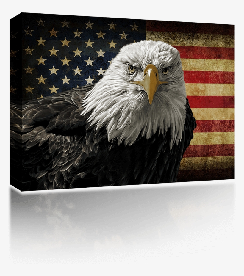 Sound Art Background With American Eagle - Bald Eagle And Flag Note Cards (pk, transparent png download
