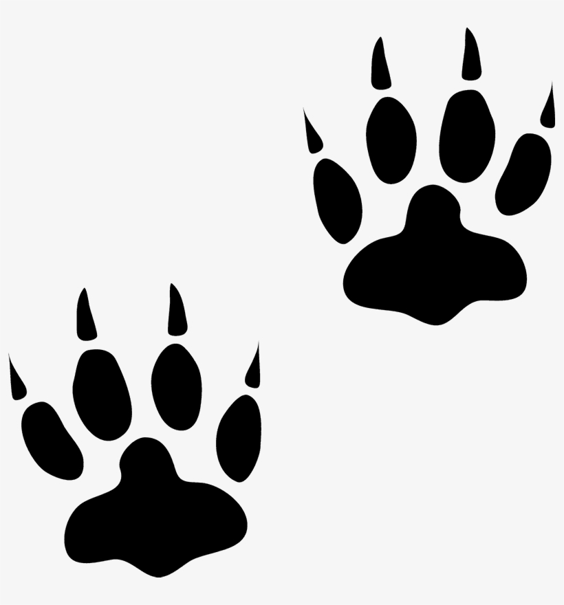 Image Library Download Bear Rubber Stamp Track - Bear, transparent png download