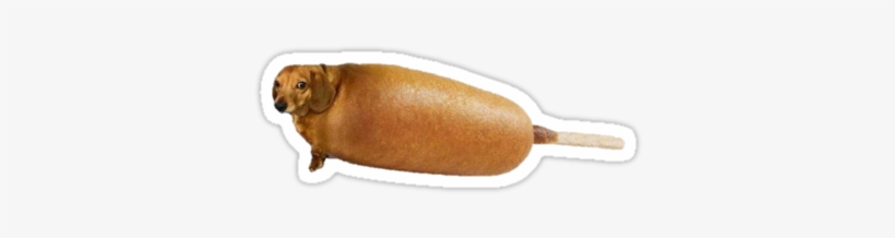 This Beautiful Mashup Between The Gracious Dachsund - Thank You Kanye Very Cool, transparent png download
