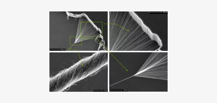 Are Lightsabers Possible - Carbon Nanotubes, transparent png download
