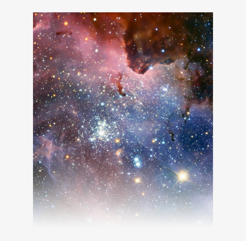 Report Abuse - Wallpaper, transparent png download