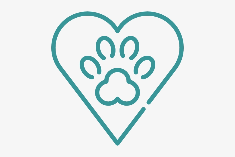 Reimagine Pet Health Care & Wellbeing For Your Baby - Icon, transparent png download