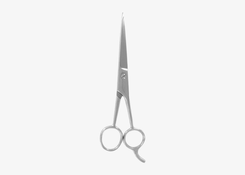 Scissors, transparent png download